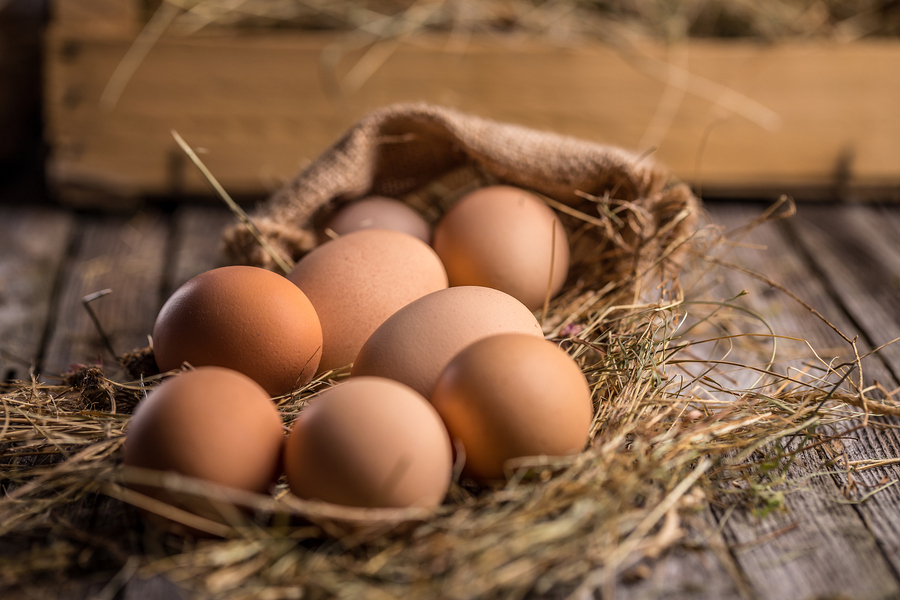 Nest with brown eggs.jpg