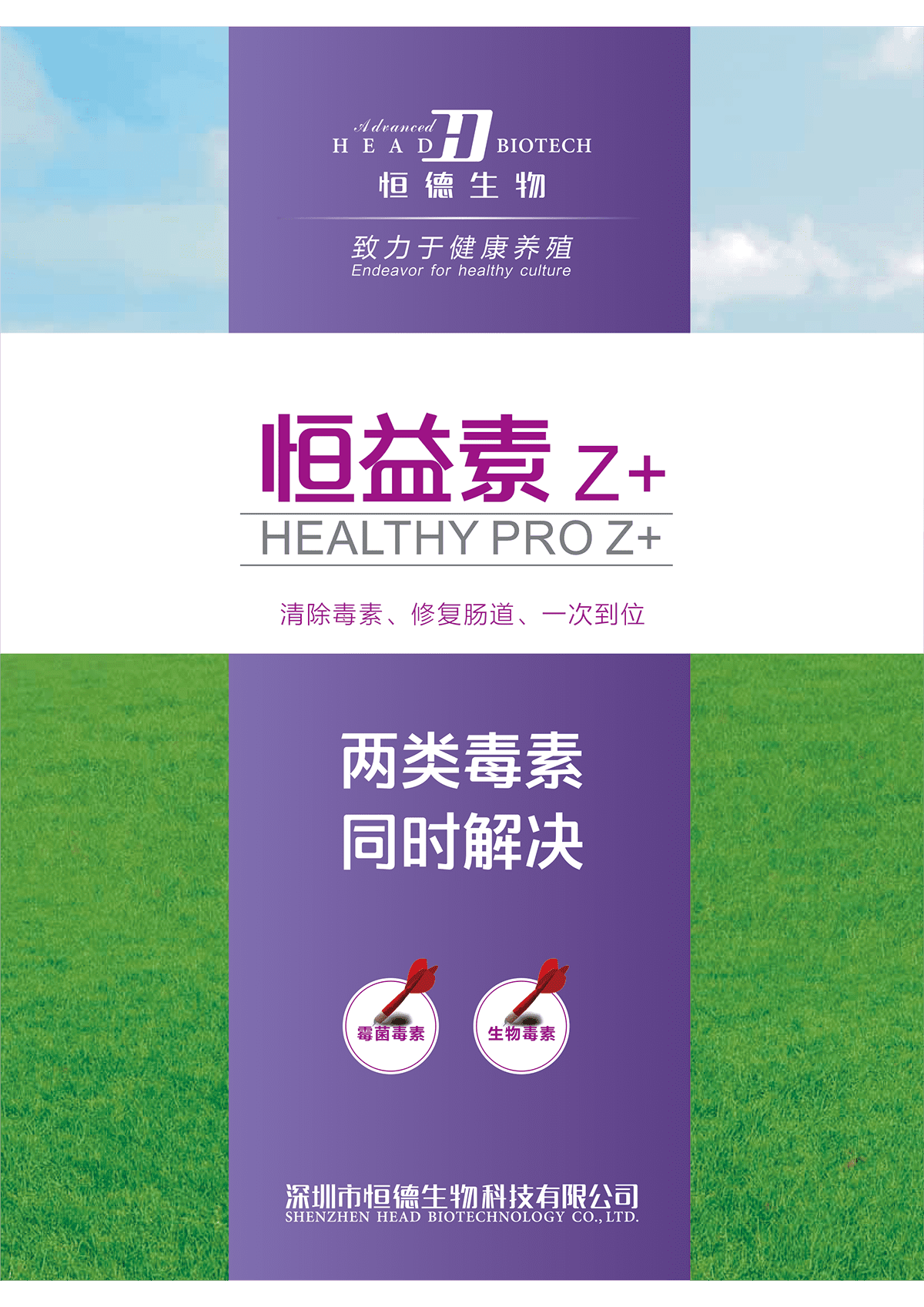 恒益素 Z -1.png