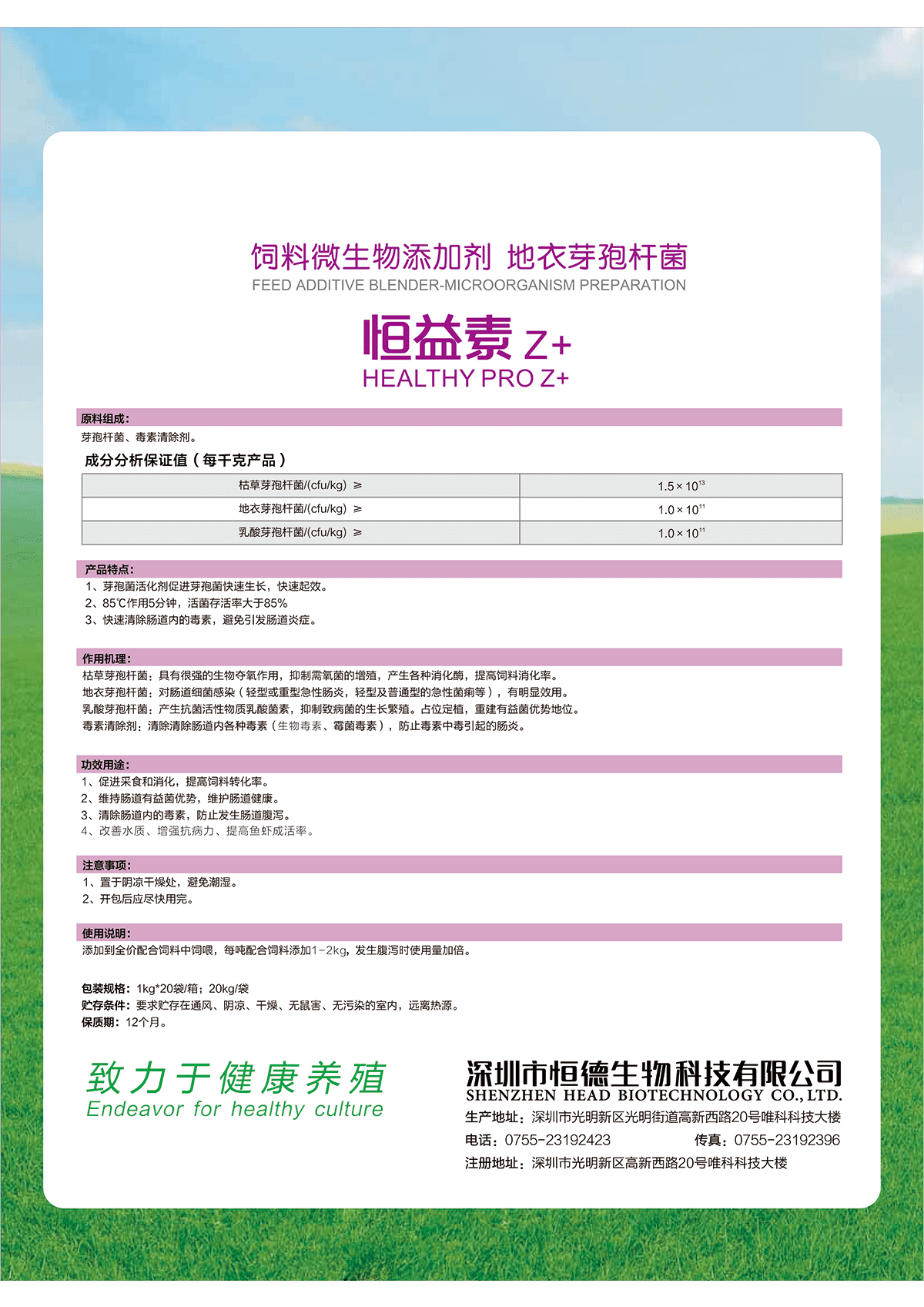 恒益素 Z -2.png